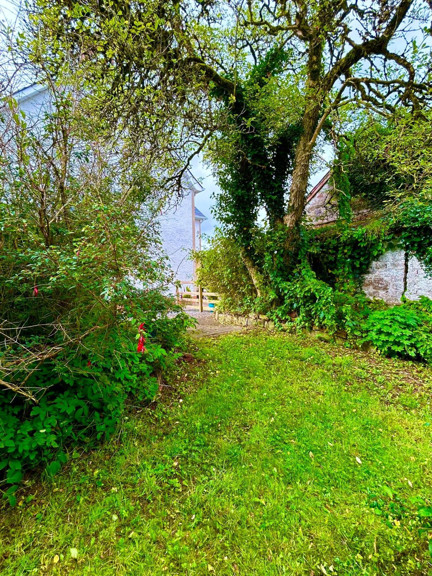 Lime Tree House Maguires Bridge Exterior foto