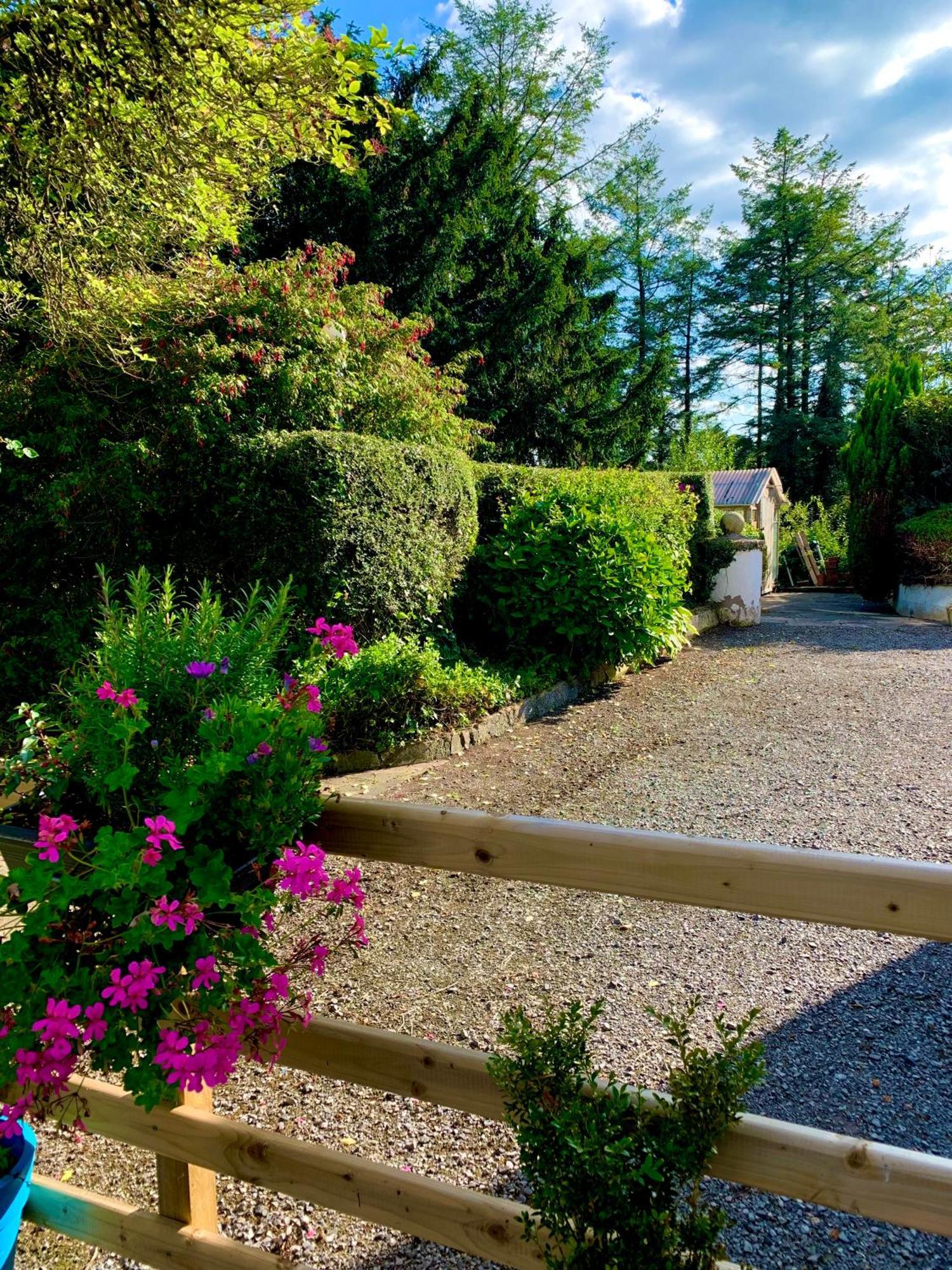 Lime Tree House Maguires Bridge Exterior foto