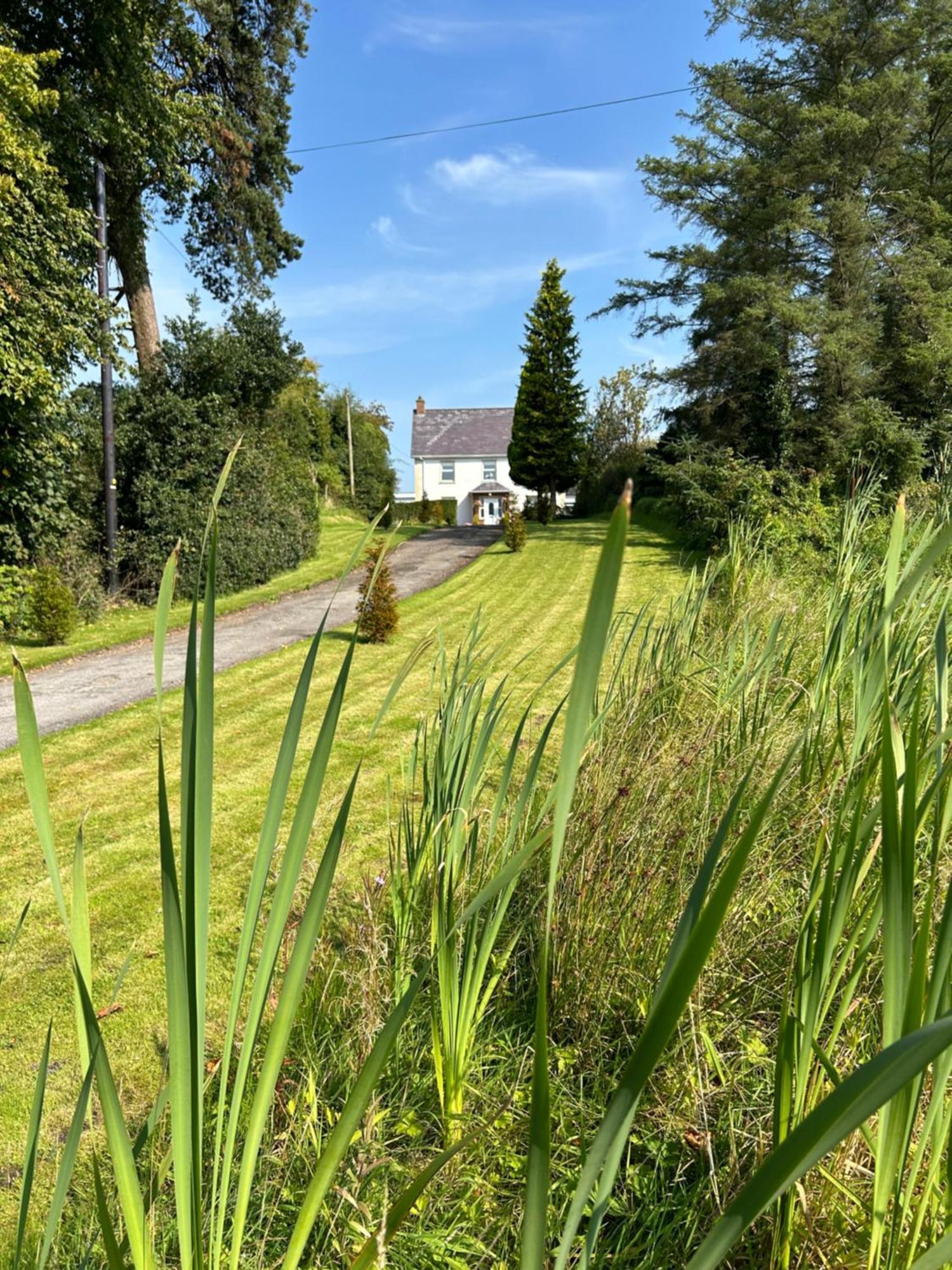 Lime Tree House Maguires Bridge Exterior foto